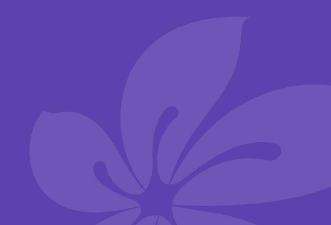kok官方网站（中国）有限公司 | 紫荆花新材料集团品牌官网升级之路网站建设制作
